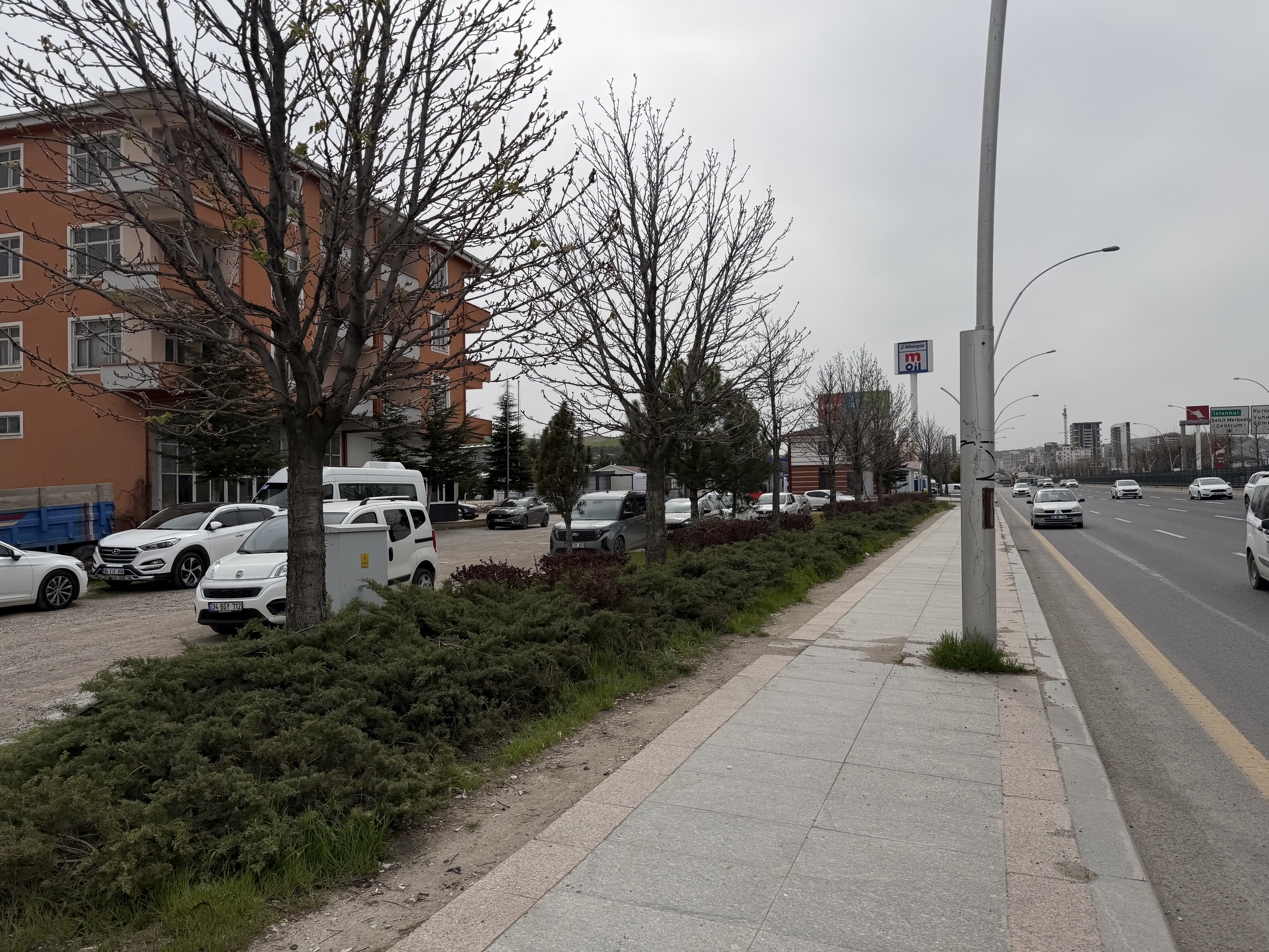 Proje Görünümü